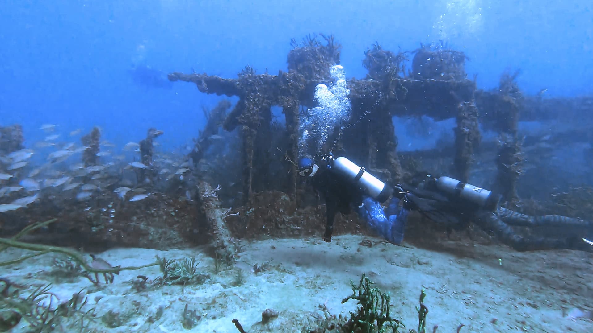 2-Tank Dive Trip